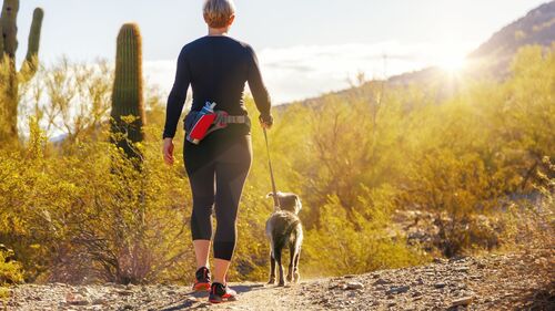 Sara Brand